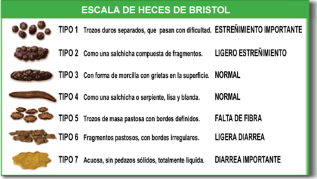 Escala_de_Bristol.1
